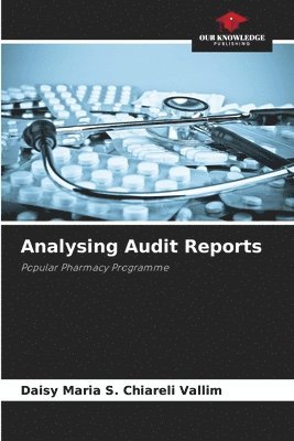 bokomslag Analysing Audit Reports