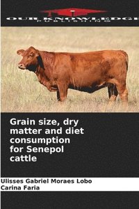 bokomslag Grain size, dry matter and diet consumption for Senepol cattle