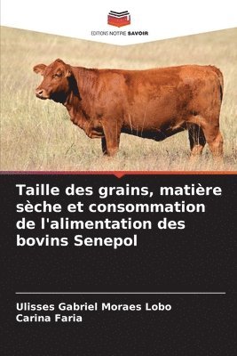 bokomslag Taille des grains, matire sche et consommation de l'alimentation des bovins Senepol