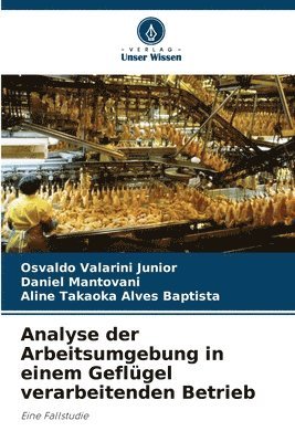 Osvaldo Valarini Junior, Daniel Mantovani, Aline Takaoka Alves Baptista - Analyse der Arbeitsumgebung in einem Geflügel verarbeitenden Betrieb, Häftad