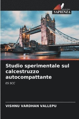 Studio sperimentale sul calcestruzzo autocompattante 1