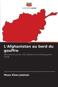 bokomslag L'Afghanistan au bord du gouffre