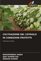 bokomslag Coltivazione del Cetriolo in Condizioni Protette