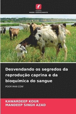 bokomslag Desvendando os segredos da reprodução caprina e da bioquímica do sangue
