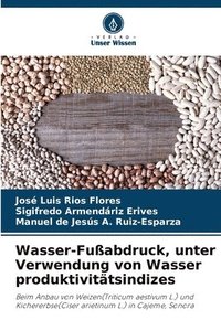 bokomslag Wasser-Fuabdruck, unter Verwendung von Wasser produktivittsindizes