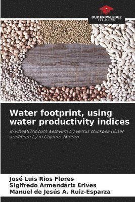 bokomslag Water footprint, using water productivity indices