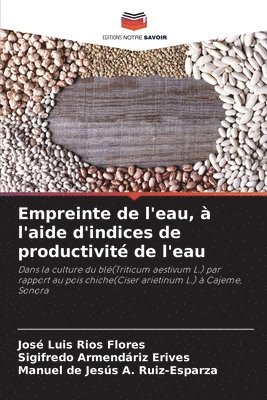 bokomslag Empreinte de l'eau, à l'aide d'indices de productivité de l'eau