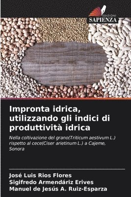 bokomslag Impronta idrica, utilizzando gli indici di produttivit idrica