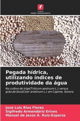 bokomslag Pegada hdrica, utilizando ndices de produtividade da gua