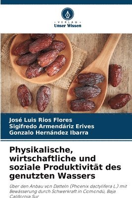 José Luis Ríos Flores, Sigifredo Armendáriz Erives, Gonzalo Hernández Ibarra - Physikalische, wirtschaftliche und soziale Produktivität des genutzten Wassers, Häftad