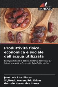 bokomslag Produttività fisica, economica e sociale dell'acqua utilizzata