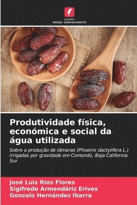 José Luis Ríos Flores, Sigifredo Armendáriz Erives, Gonzalo Hernández Ibarra - Produtividade física, económica e social da água utilizada, Häftad