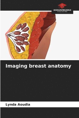 Imaging breast anatomy 1