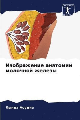 bokomslag ??????????? ???????? ???????? ??????