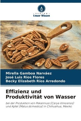 bokomslag Effizienz und Produktivität von Wasser