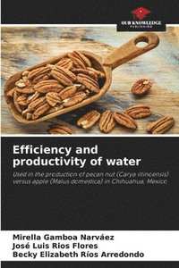 bokomslag Efficiency and productivity of water