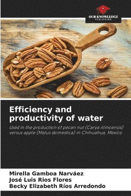 bokomslag Efficiency and productivity of water