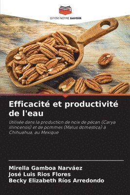 Mirella Gamboa Narváez, José Luis Ríos Flores, Becky Elizabeth Ríos Arredondo - Efficacité et productivité de l'eau, Häftad
