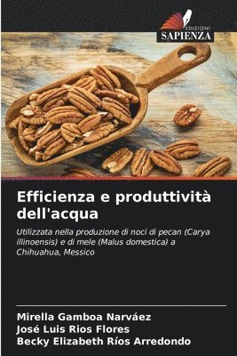 Mirella Gamboa Narváez, José Luis Ríos Flores, Becky Elizabeth Ríos Arredondo - Efficienza e produttività dell'acqua, Häftad