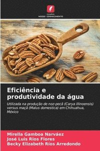 bokomslag Eficiência e produtividade da água