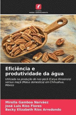 bokomslag Eficincia e produtividade da gua