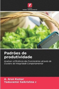 bokomslag Padrões de produtividade