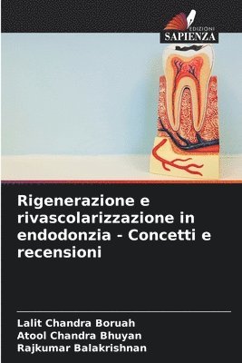 bokomslag Rigenerazione e rivascolarizzazione in endodonzia - Concetti e recensioni