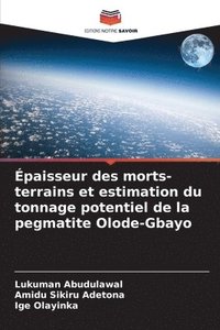 bokomslag paisseur des morts-terrains et estimation du tonnage potentiel de la pegmatite Olode-Gbayo