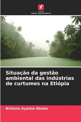 bokomslag Situao da gesto ambiental das indstrias de curtumes na Etipia