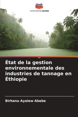 bokomslag tat de la gestion environnementale des industries de tannage en thiopie