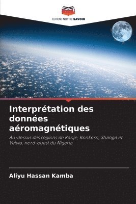 bokomslag Interprtation des donnes aromagntiques