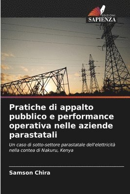 bokomslag Pratiche di appalto pubblico e performance operativa nelle aziende parastatali