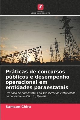 bokomslag Prticas de concursos pblicos e desempenho operacional em entidades paraestatais