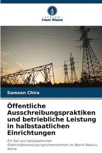 bokomslag Öffentliche Ausschreibungspraktiken und betriebliche Leistung in halbstaatlichen Einrichtungen