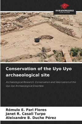 bokomslag Conservation of the Uyo Uyo archaeological site