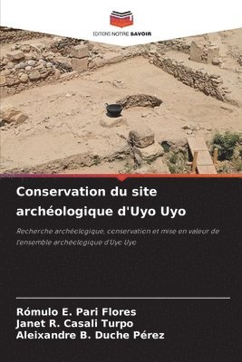 bokomslag Conservation du site archologique d'Uyo Uyo