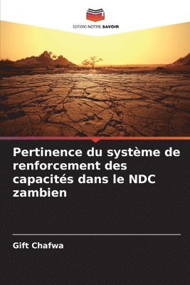 bokomslag Pertinence du systme de renforcement des capacits dans le NDC zambien