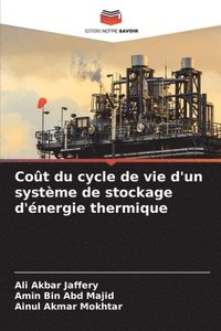 bokomslag Cot du cycle de vie d'un systme de stockage d'nergie thermique