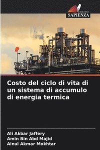 bokomslag Costo del ciclo di vita di un sistema di accumulo di energia termica