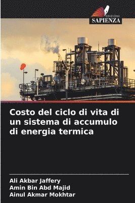 Costo del ciclo di vita di un sistema di accumulo di energia termica 1