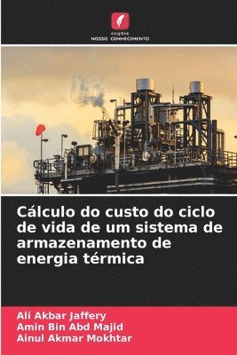 Clculo do custo do ciclo de vida de um sistema de armazenamento de energia trmica 1