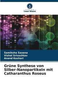 bokomslag Grne Synthese von Silber-Nanopartikeln mit Catharanthus Roseus