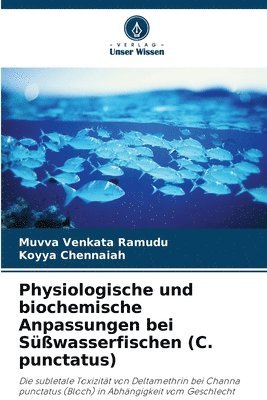 bokomslag Physiologische und biochemische Anpassungen bei Süßwasserfischen (C. punctatus)