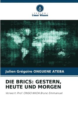 bokomslag Brics