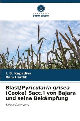 bokomslag Blast[Pyricularia grisea (Cooke) Sacc.] von Bajara und seine Bekmpfung