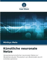 bokomslag Knstliche neuronale Netze