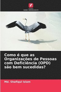 bokomslag Como  que as Organizaes de Pessoas com Deficincia (OPD) so bem sucedidas?