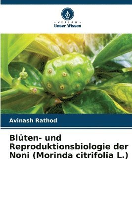 bokomslag Blten- und Reproduktionsbiologie der Noni (Morinda citrifolia L.)