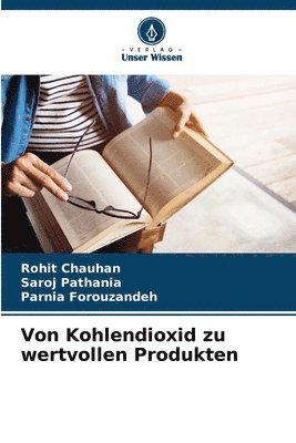 bokomslag Von Kohlendioxid zu wertvollen Produkten