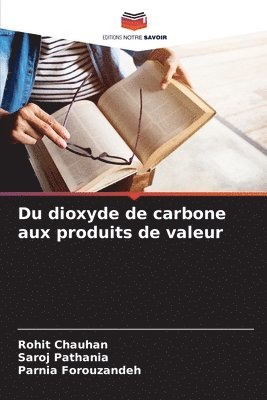 bokomslag Du dioxyde de carbone aux produits de valeur